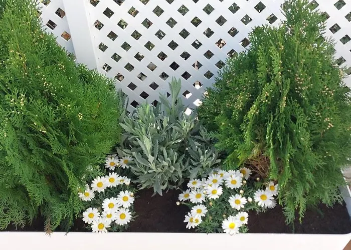 Lejlighed El 2 De Flamenco Atico 3ºb