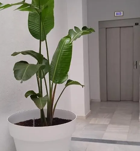 El 2 De Flamenco Atico 3ºb Lejlighed