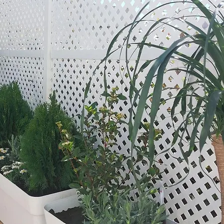 公寓 El 2 De Flamenco Atico 3ºb *