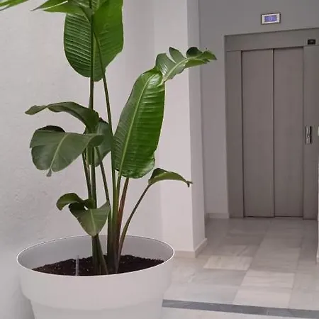 El 2 De Flamenco Atico 3ºb Apartment