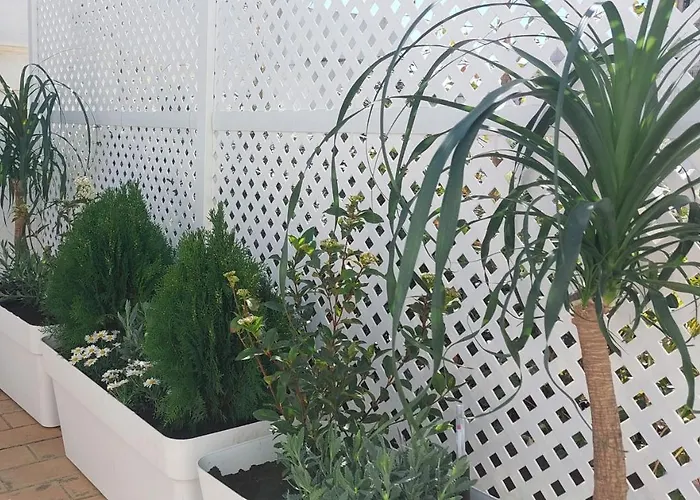 Appartement El 2 De Flamenco Atico 3ºb *