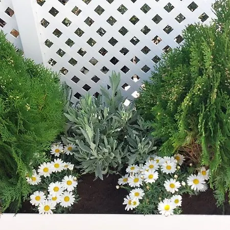 아파트 El 2 De Flamenco Atico 3ºb