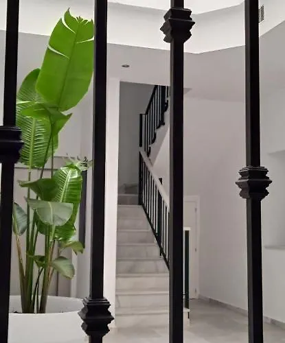 Apartamento El 2 De Flamenco ático 3ºb Cádiz